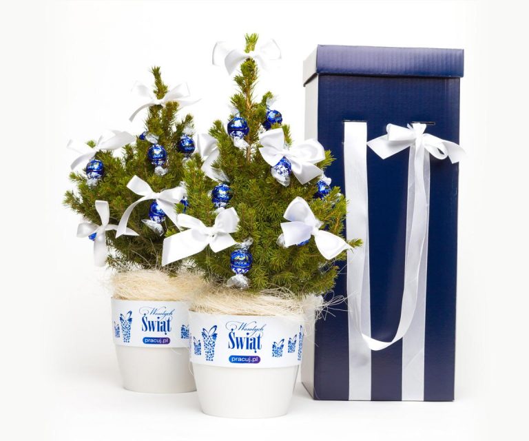 Produkcja, konfekcja dla Pracuj.pl